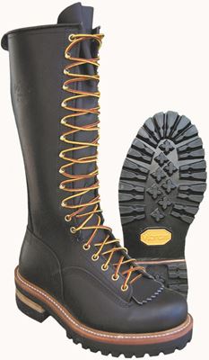 Picture of 16" Pole Climber Plain Toe